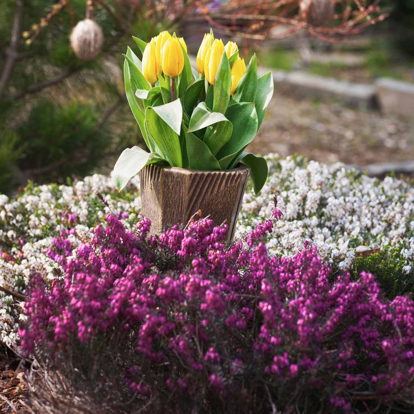 blumengeschaeft-vorarlberg