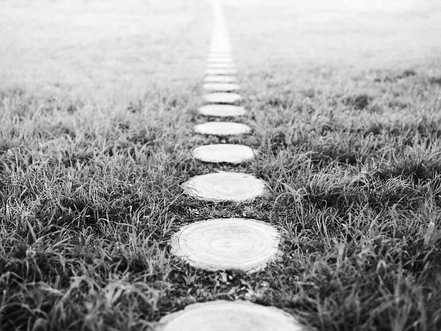 Vertical black and white forest path footway background Patientenverfügung